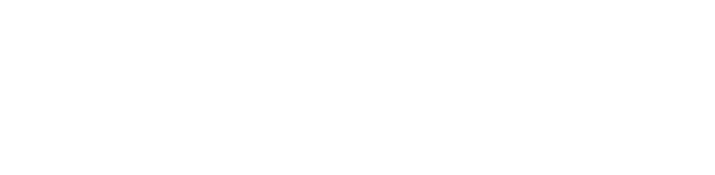 Puma Security Allarm